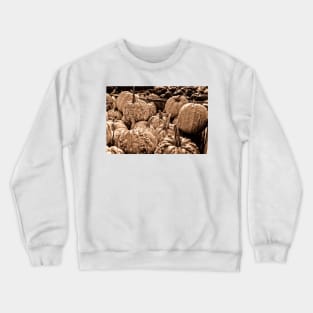 Fall Pumpkins 2 Crewneck Sweatshirt